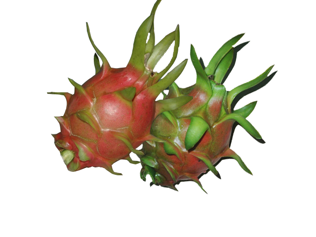 Doanh Nghiệp Tư Nhân Thương Mại Phương Giang