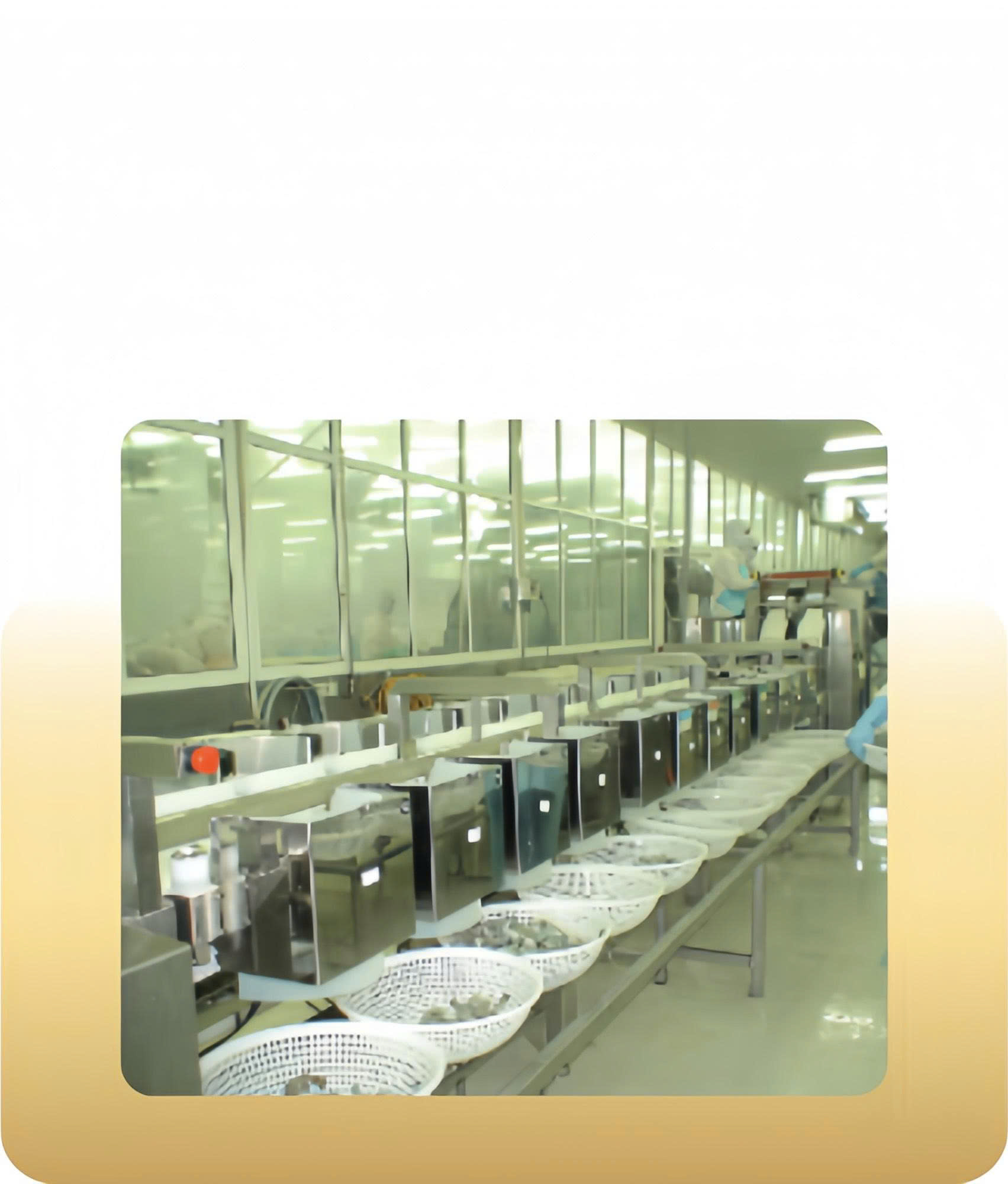 Máy phân loại và xử lý nguyên liệu - Công Ty Cổ Phần Giải Pháp Công Nghiệp á Châu