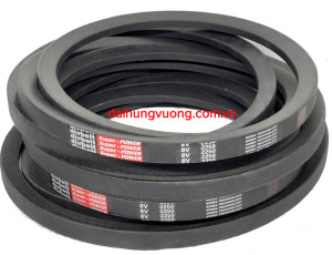 Dây curoa bọc vải bố 8V2250 hiệu Divbelt - Dây Curoa Đại Hưng Vượng - Công Ty TNHH Thương Mại Đại Hưng Vượng