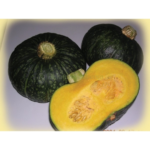 Bí đỏ - Dalat Natural Foods - Công Ty Cổ Phần Chế Biến Thực Phẩm Đà Lạt Tự Nhiên