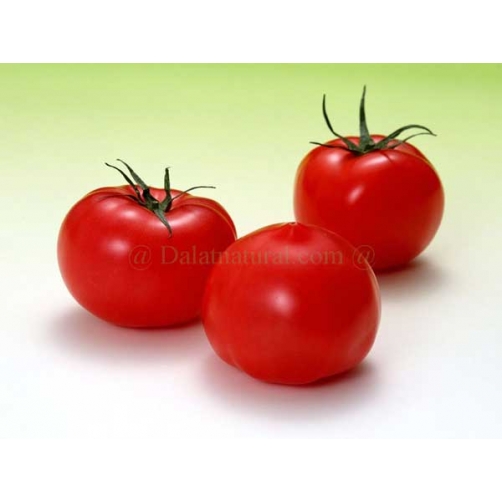Cà chua - Dalat Natural Foods - Công Ty Cổ Phần Chế Biến Thực Phẩm Đà Lạt Tự Nhiên