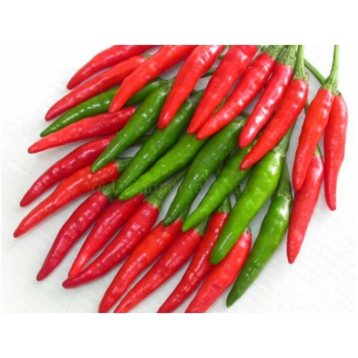 Ớt chỉ thiên - Dalat Natural Foods - Công Ty Cổ Phần Chế Biến Thực Phẩm Đà Lạt Tự Nhiên