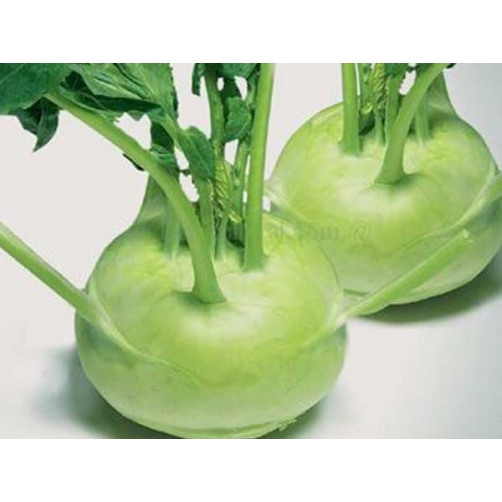 Su hào - Dalat Natural Foods - Công Ty Cổ Phần Chế Biến Thực Phẩm Đà Lạt Tự Nhiên