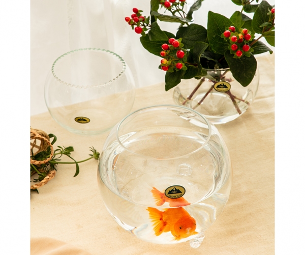 Thành Xuân Glass – Công Ty TNHH DV SX TM Thành Xuân