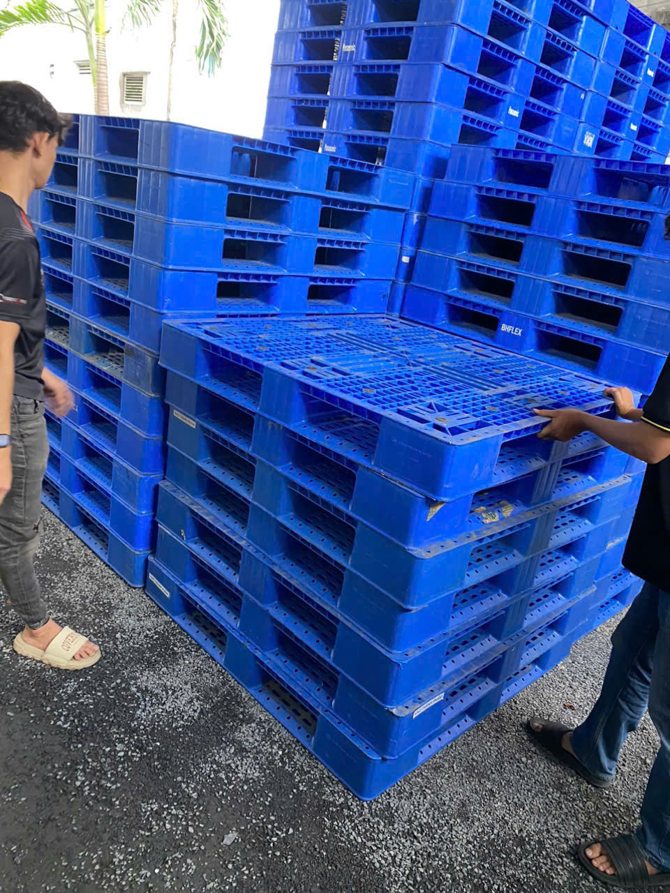 Pallet nhựa màu xanh