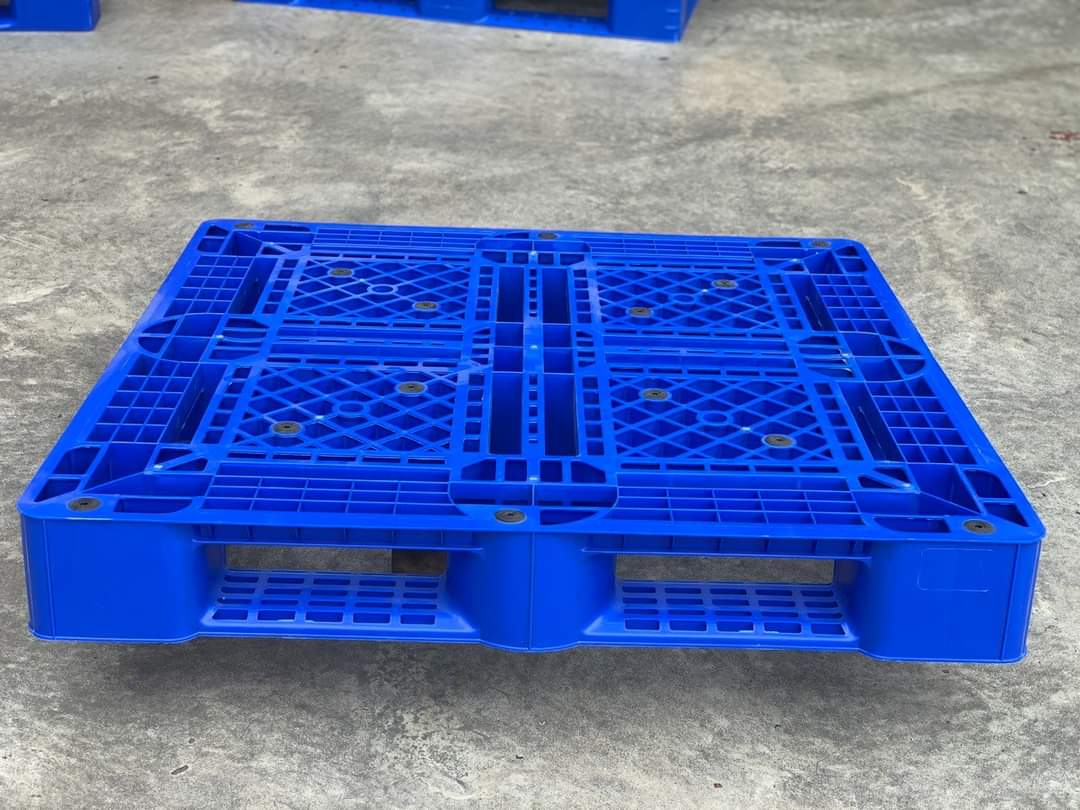 Pallet nhựa màu xanh