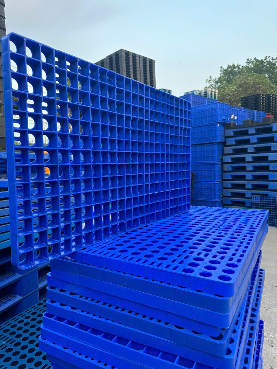 Pallet nhựa màu xanh