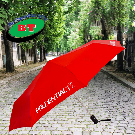Dù gấp 3 tự động 2 chiều r55