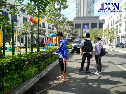 Chăm sóc cây cảnh - Công Ty TNHH Dịch Vụ Đất Phương Nam
