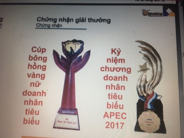 Cup Bông Hồng Vàng - Doanh nhân tiêu biểu APEC - Công Ty TNHH Dịch Vụ Đất Phương Nam