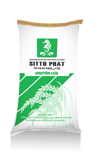 Sitto Phat 16-16-8 chuyên lúa - Phân Bón Sitto - Công Ty TNHH Sitto Việt Nam