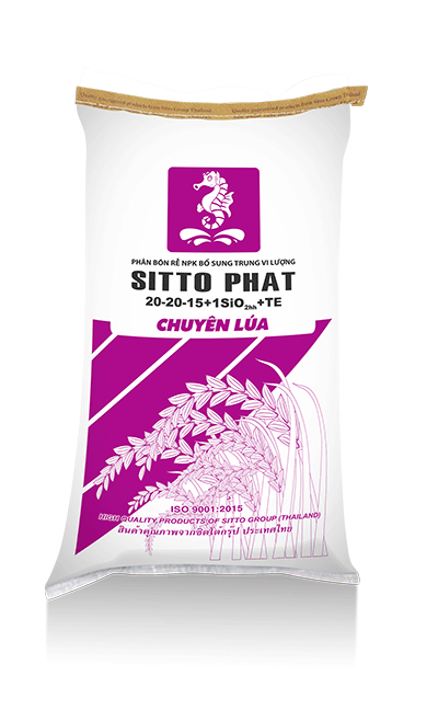 Sitto Phat 20-20-15 chuyên lúa - Phân Bón Sitto - Công Ty TNHH Sitto Việt Nam