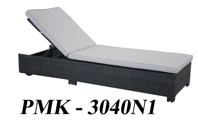 PMK-3040N1
