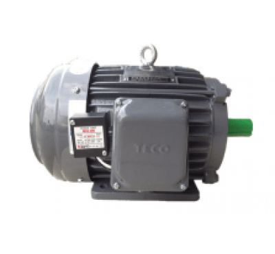 Motor biến tần Teco 3pha – chân đế - Điện Cơ Teco Việt Nam - Công Ty TNHH Công Nghệ Điện Cơ Teco Việt Nam