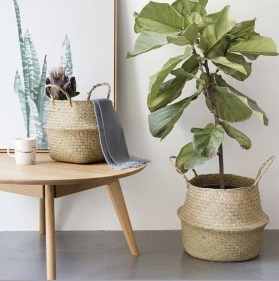 Giỏ cói trồng cây - Mây Tre Dạ Lý Hương - Hộ Kinh Doanh Trần Thị Thu Hương