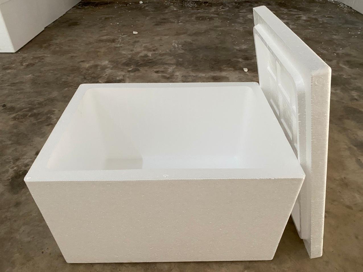 Thùng 81A (1 cây) 600x450x375 (3cm)