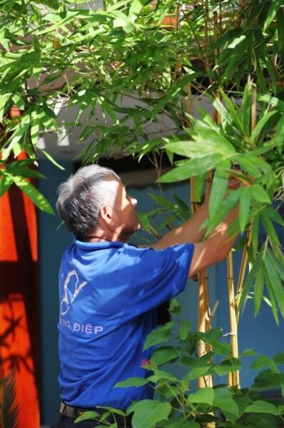 Dịch vụ bảo dưỡng và chăm sóc cảnh quan