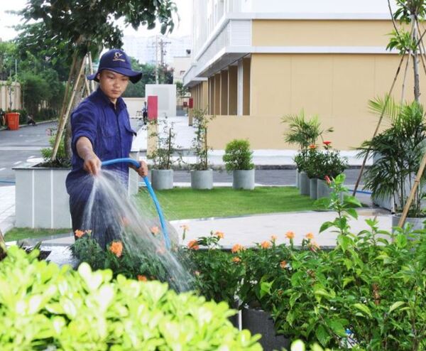 Dịch vụ bảo dưỡng và chăm sóc cảnh quan