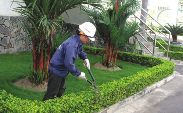 Dịch vụ bảo dưỡng và chăm sóc cảnh quan