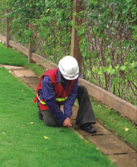 Dịch vụ bảo dưỡng và chăm sóc cảnh quan