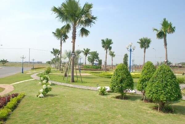 Dịch vụ bảo dưỡng và chăm sóc cảnh quan