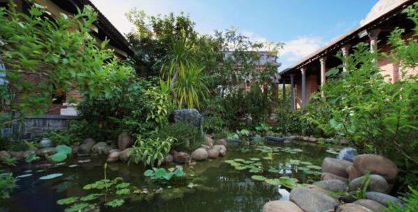 Dịch vụ xây dựng và thiết kế cảnh quan