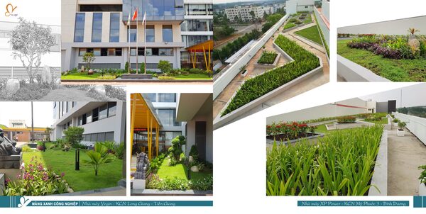 Dự án cảnh quan đã thực hiện
