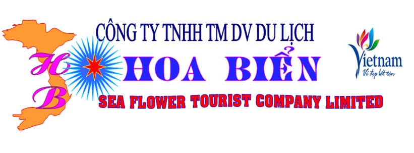 Banner - Hoa Biển - Công Ty TNHH Thương Mại Dịch Vụ Du Lịch Hoa Biển