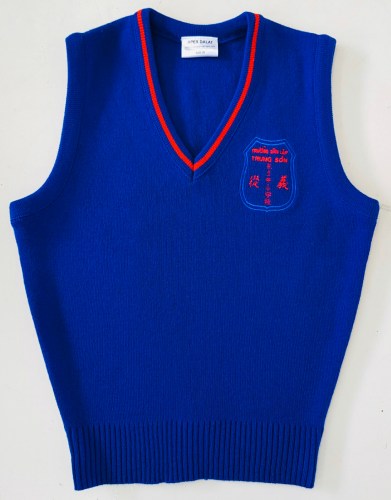 Áo Vest len