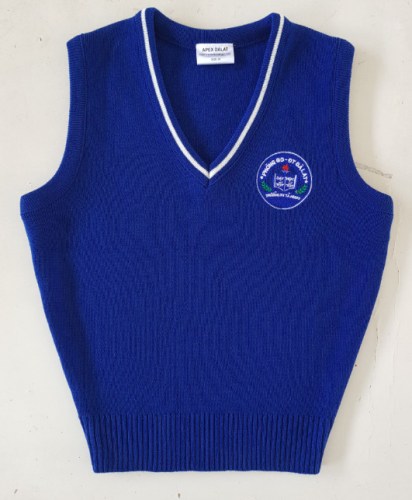 Áo Vest len
