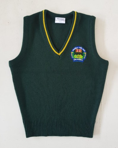 Áo Vest len