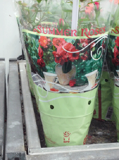 Bao bì hoa chậu - Công Ty TNHH Sản Xuất - Thương Mại - Dịch Vụ - Xuất Nhập Khẩu Phước Kim Thành