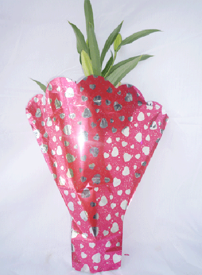 Bao bì túi hoa cắt cành - Công Ty TNHH Sản Xuất - Thương Mại - Dịch Vụ - Xuất Nhập Khẩu Phước Kim Thành