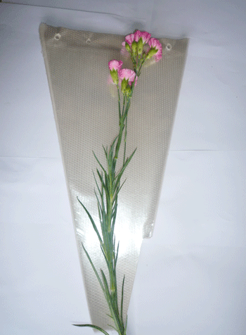 Bao bì túi hoa cắt cành - Công Ty TNHH Sản Xuất - Thương Mại - Dịch Vụ - Xuất Nhập Khẩu Phước Kim Thành