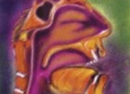 Nội soi hậu họng - Thiết Bị Y Tế Thành Phương - Công Ty TNHH Thành Phương