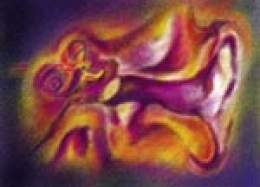 Nội soi tai - Thiết Bị Y Tế Thành Phương - Công Ty TNHH Thành Phương