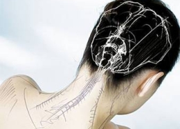 Thiết bị nội soi thần kinh - Thiết Bị Y Tế Thành Phương - Công Ty TNHH Thành Phương