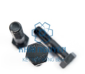 Bulong đầu lục giác F10T