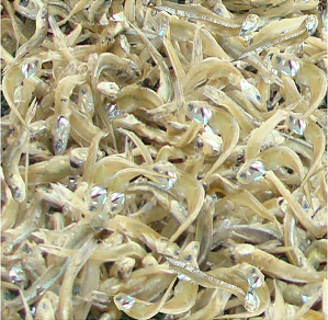 Công Ty Cổ Phần Xuất Nhập Khẩu Kiên Giang