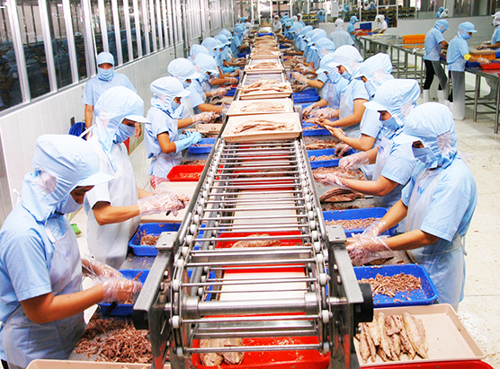 Sản xuất thực phẩm đóng hộp - Công Ty CP Thương Mại Kiên Giang