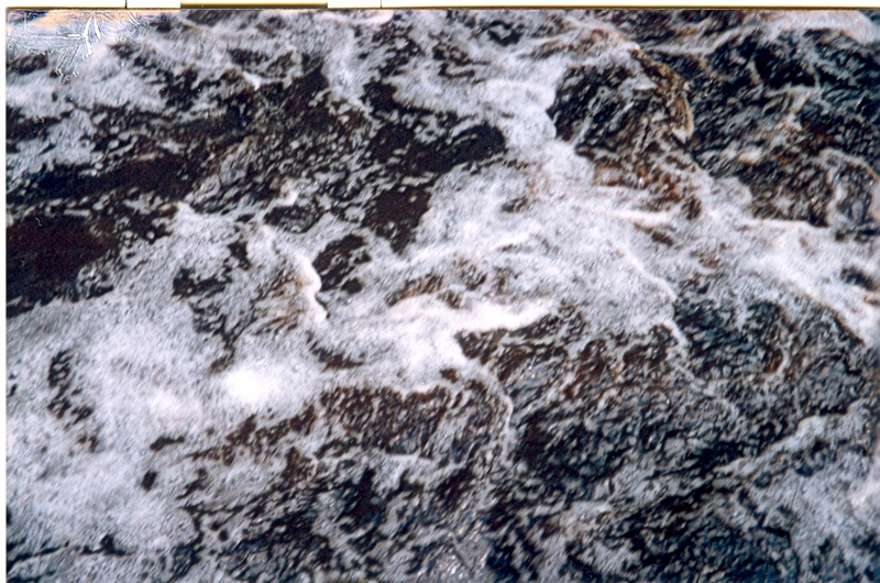 Dự án thi công