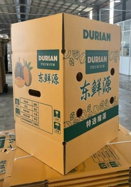 Thùng carton