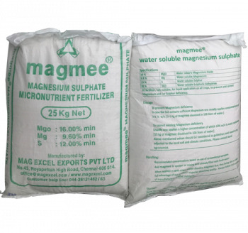 Manganese Sulphate Monohydrate Powder (MnSO4.1H2O)