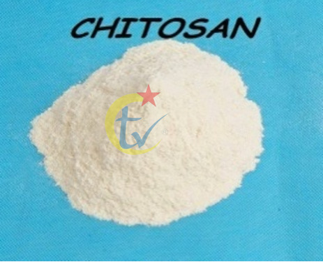 Chitosan - Hóa Chất Thiên Việt - Công Ty TNHH Hóa Chất Thiên Việt