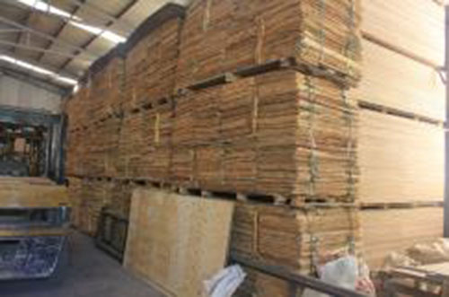 Ván độn gỗ bạch đàn - Công Ty TNHH TTTK