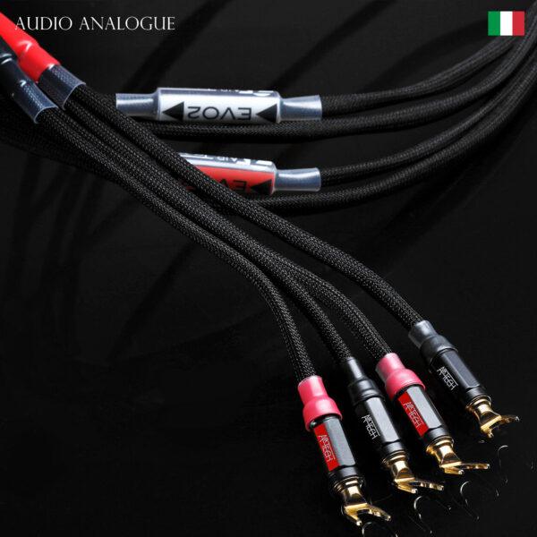 Cáp tín hiệu RCA Audio Analogue Series EVO2 - Thiết Bị Nghe Nhìn Anh Kiệt - Công Ty Cổ Phần Công Nghệ Nghe Nhìn Anh Kiệt