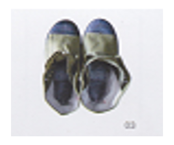 Giày bảo hộ lao động