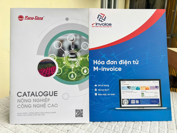 In catalogue - Công Ty TNHH Thiết Kế Và In Đức Phương