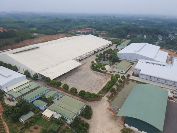 Hình ảnh công ty Thế Hệ Mới