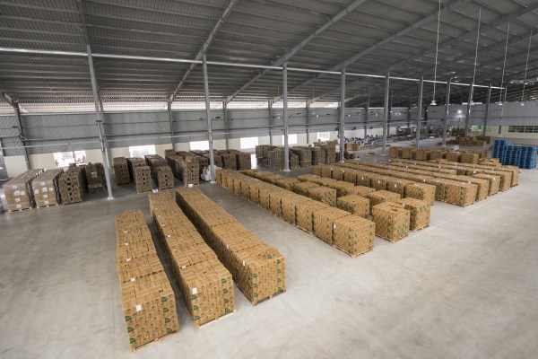 Hình ảnh công ty Thế Hệ Mới
